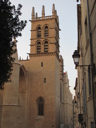 cathedrale Saint-Pierre de Montpellier с огромными колоннами перед входом