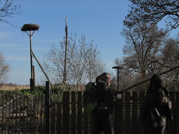 птичий парк, Саша показывает аиста с интернетом и веб-камерой
