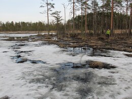 переход глубокой части болота по льду