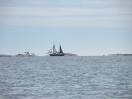 black sail on the horizon