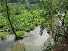 река Любинка