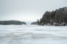 тут, в проливе Tornionsalmi начался дурацкий лед, протыкающийся палкой, потом пошли промоины и я сбежал ненадолго на берег