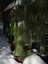 печальный автобус в лесу