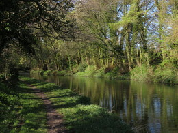лесной участок канала