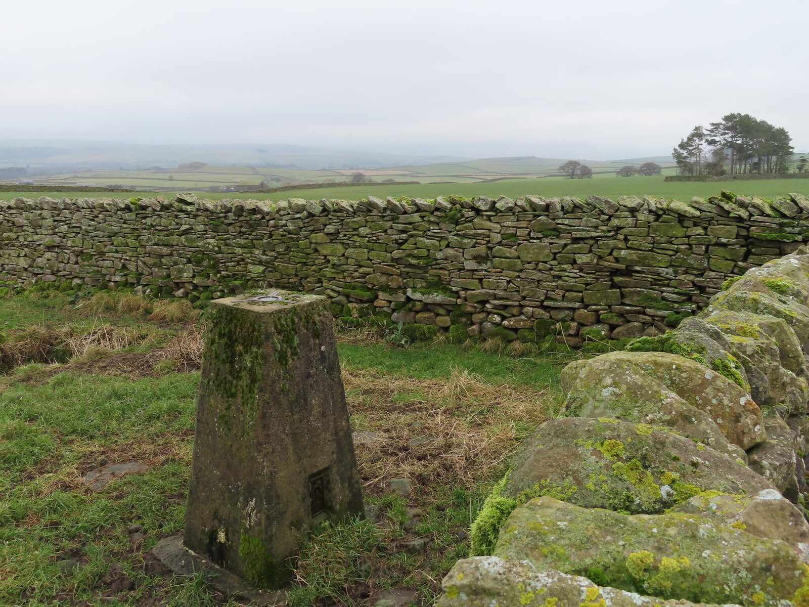 New House Pasture, 207m