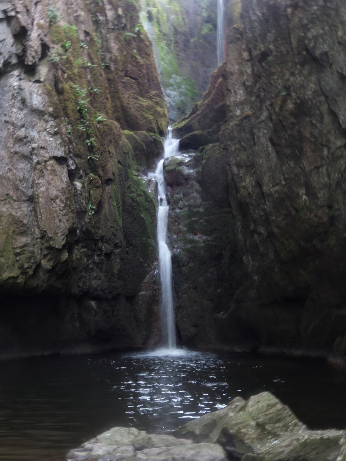 Catrigg force