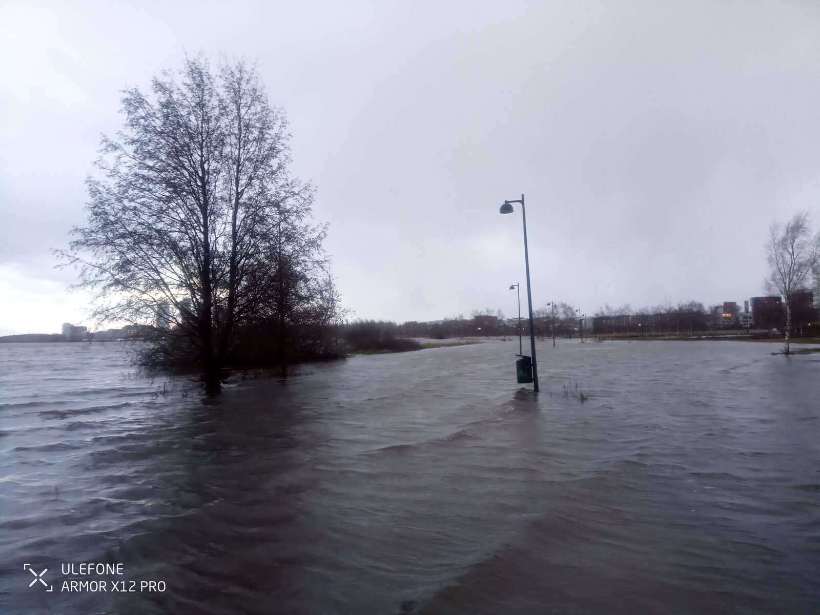 21 ������, ����������