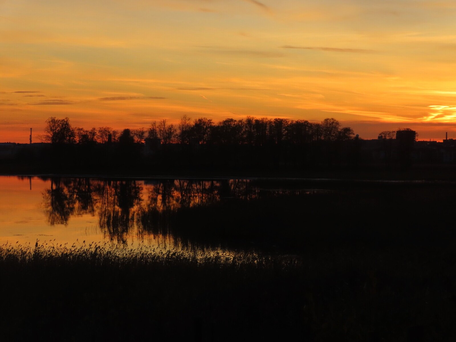 19 �������