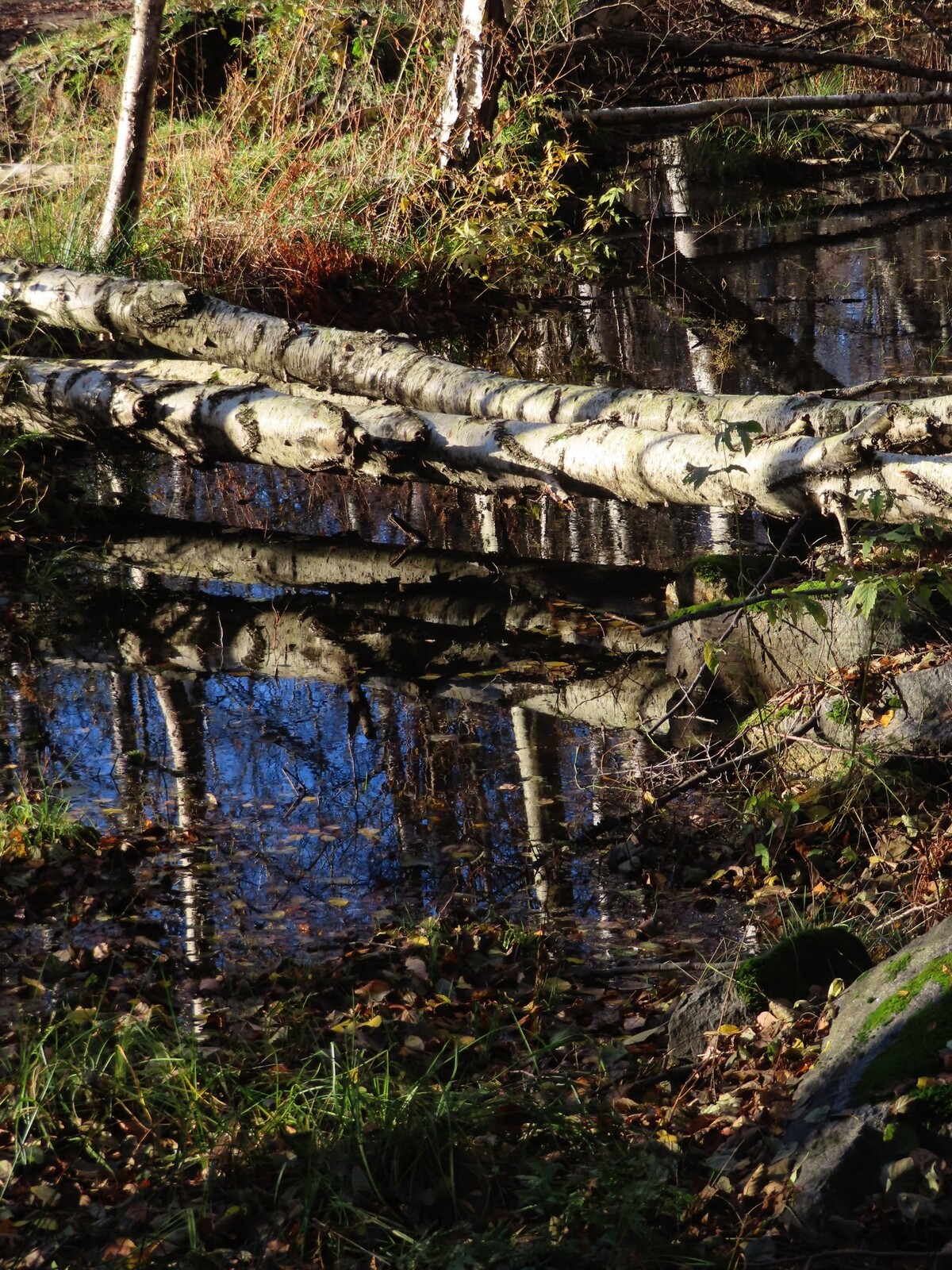 28 �������