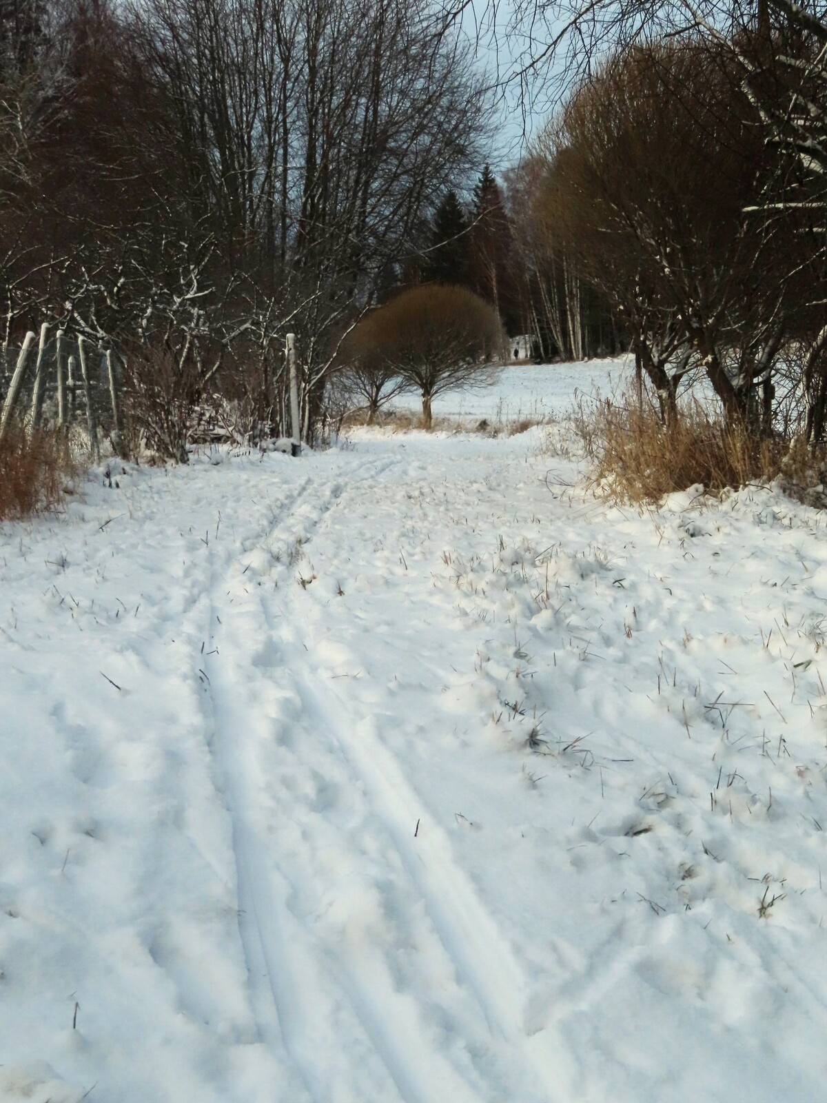 23 ������, ������ �����