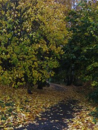 21 �������