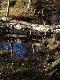 28 �������