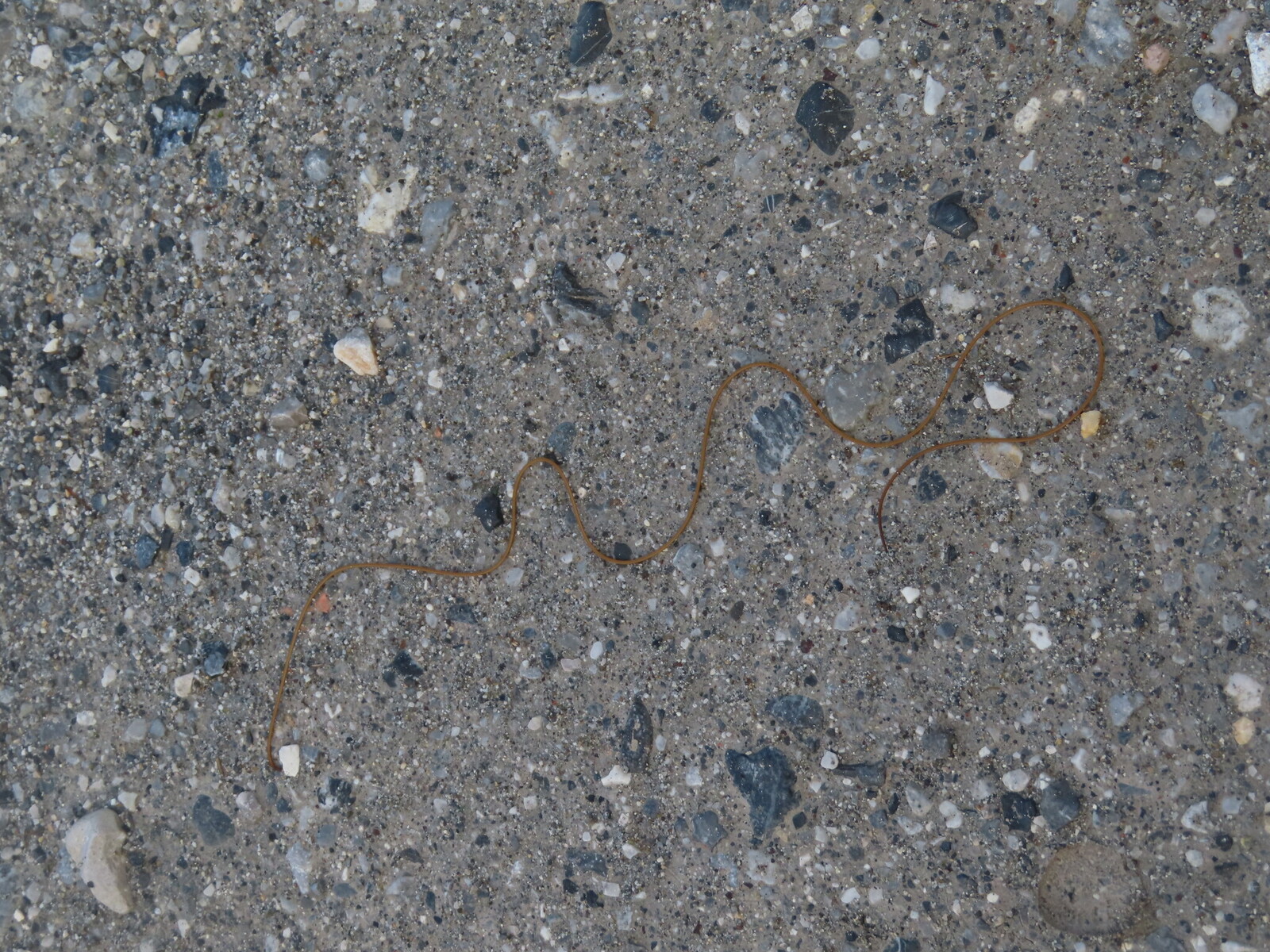 �� ������ �������� ��������� �����