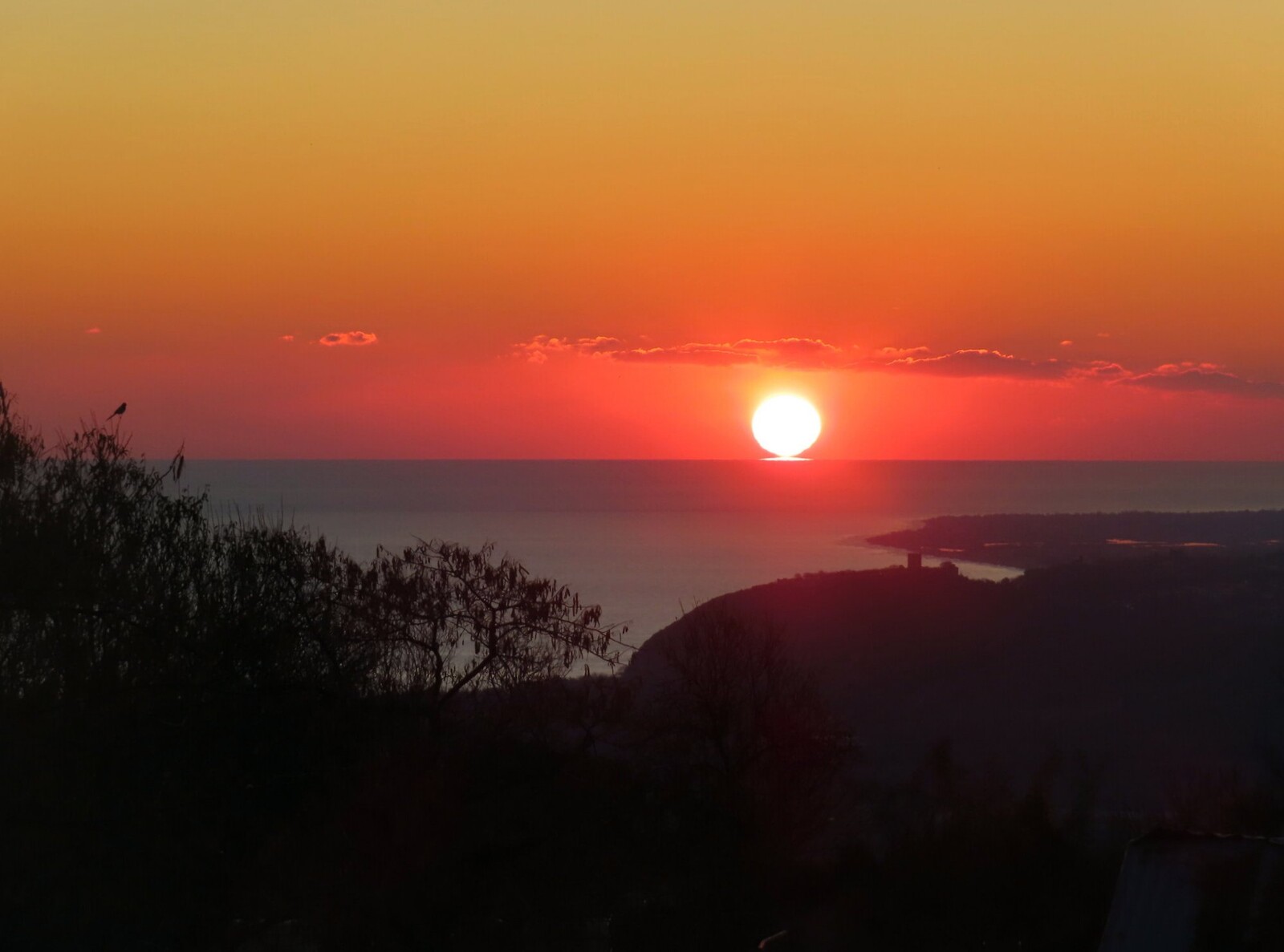 ����� �������� ������� �� �������