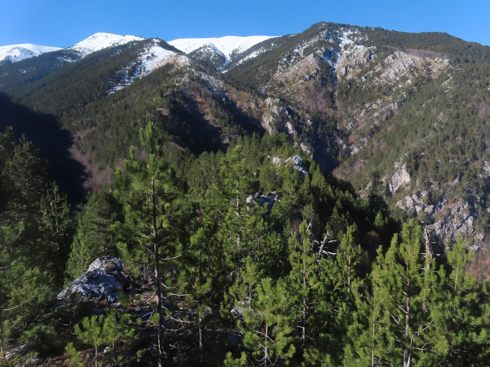 ��� ������ �� ������