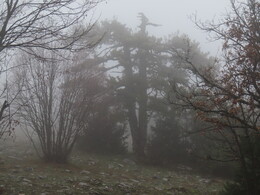 ����� � ������