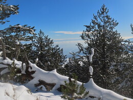 � ������ 2000� ������ �� �������� ������ ������