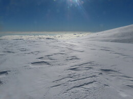 ������ �����