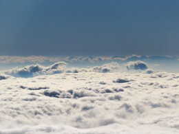 ���� ������� ���� ����