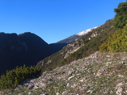 ������� �������!