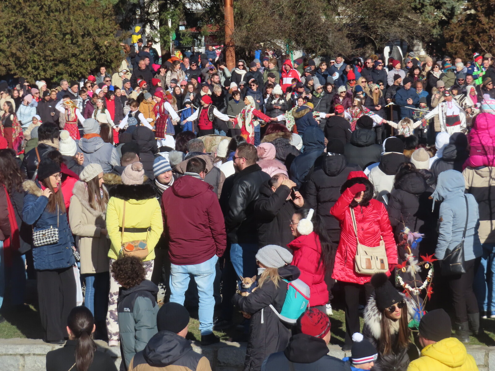 ��������