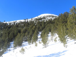 ���� � �������