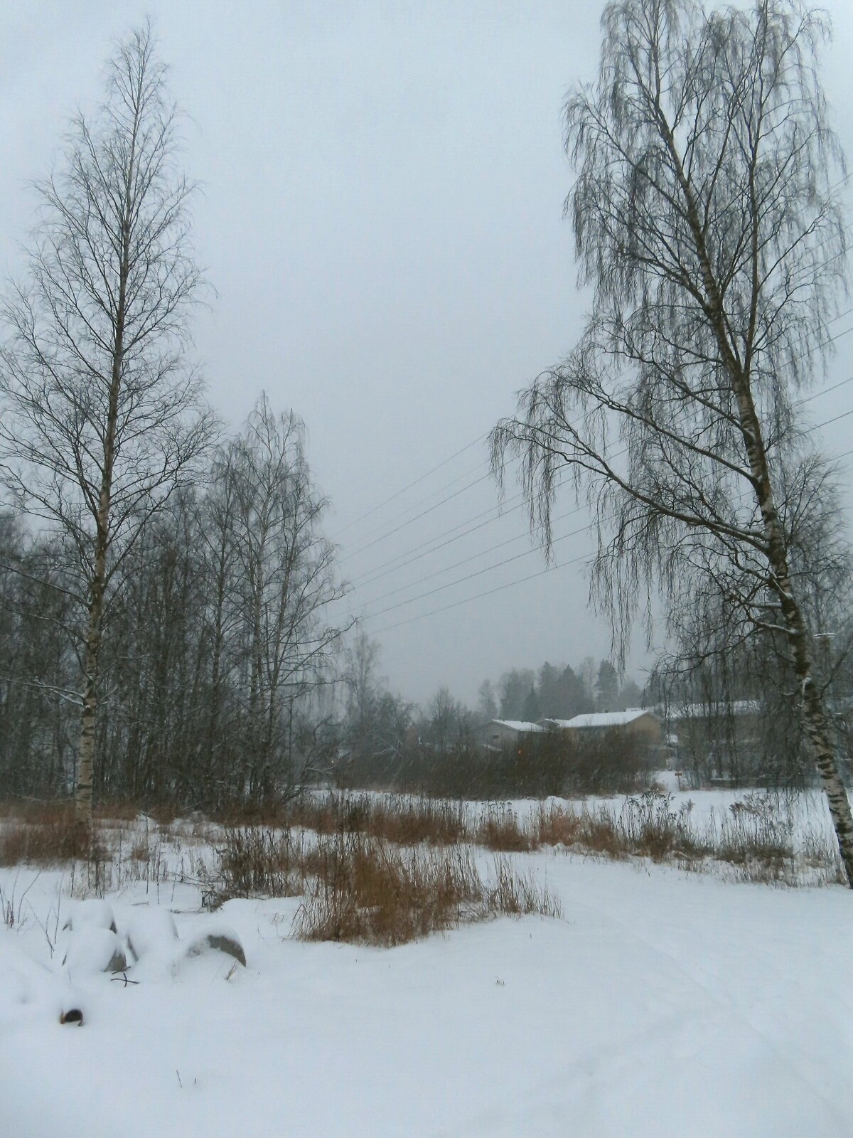 �������� � ����, 7 ������