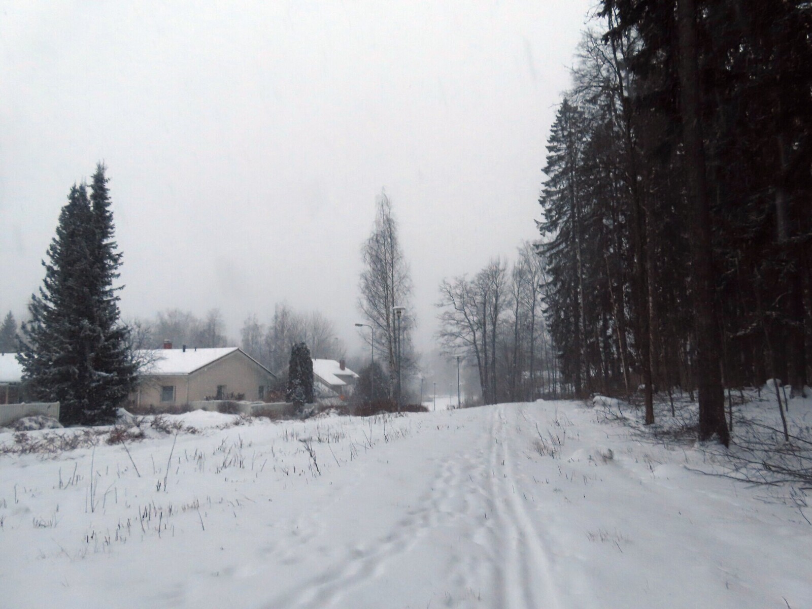 ������ ���� �� ������, 15 ������