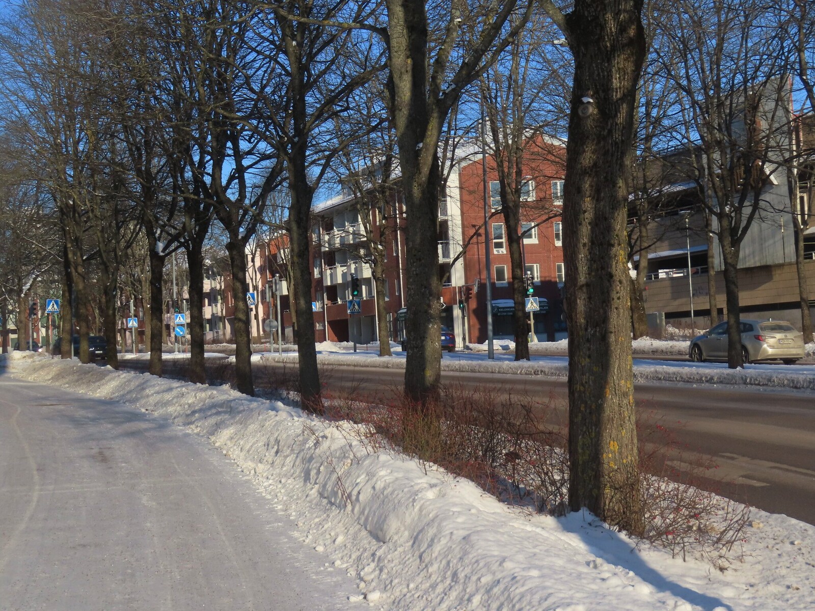 ����������, 1 �������