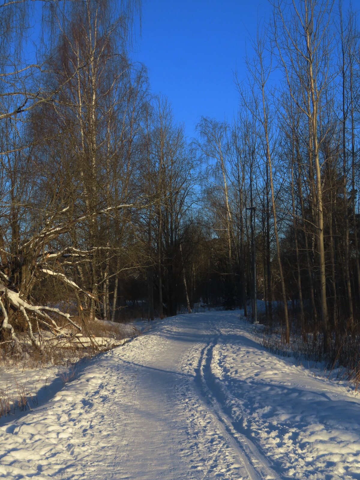 ������ ���� �� ������, 3 �������