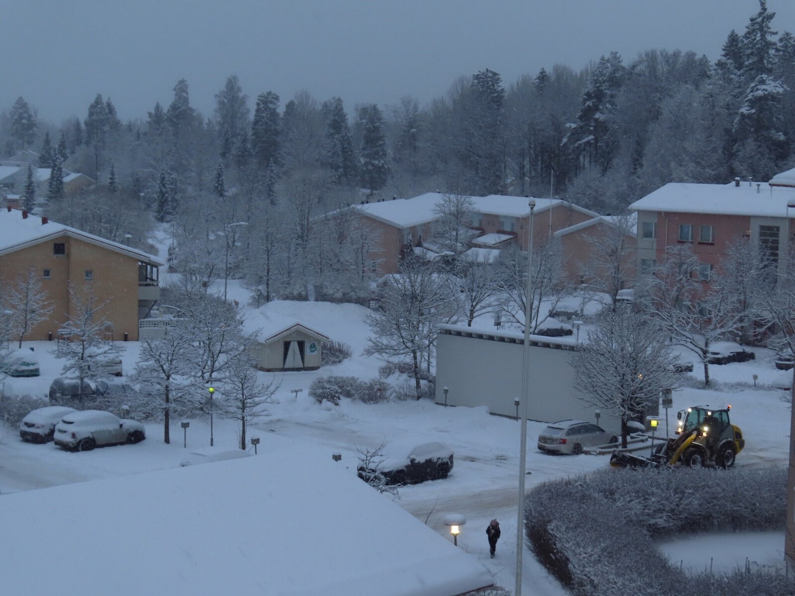 ��� �� ����, 12 �������