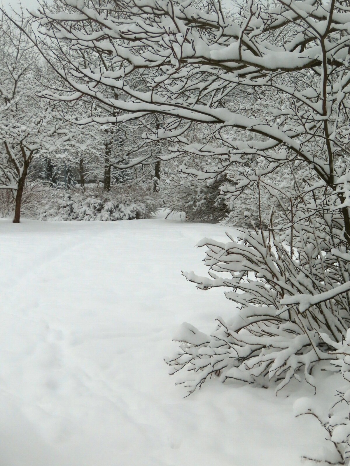 ������ ���� �� ������, 12 �������