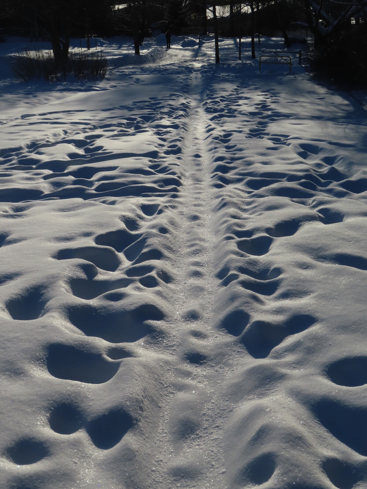 ������� 22 �������