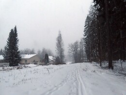 ������ ���� �� ������, 15 ������