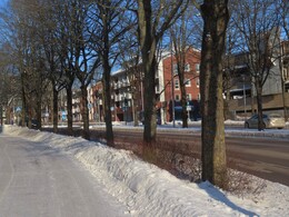 ����������, 1 �������