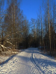 ������ ���� �� ������, 3 �������