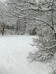 ������ ���� �� ������, 12 �������