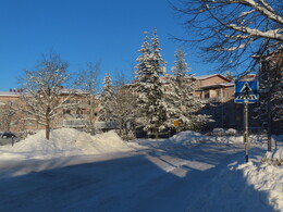 ������ ���� �� ������, 13 �������