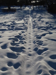 ������� 22 �������