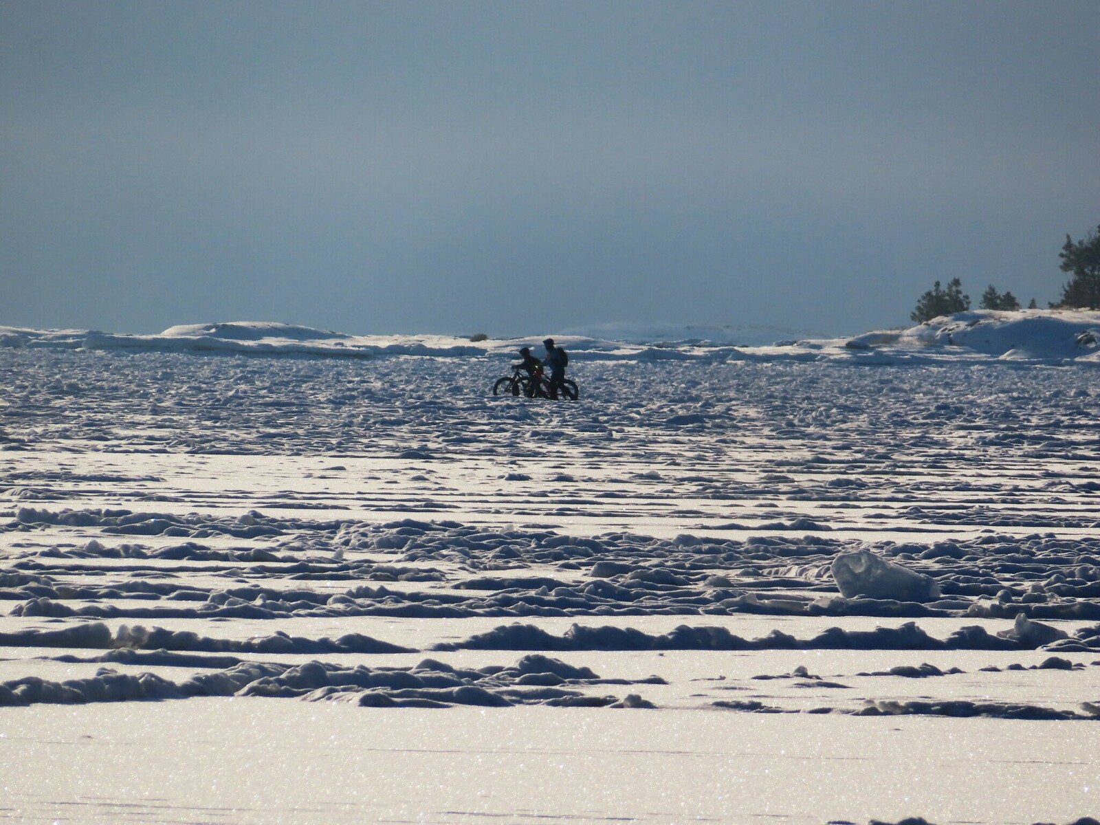 ������������� ����������� ����� ��������� ����