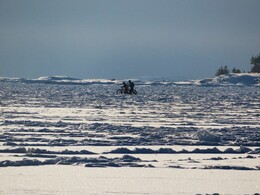 ������������� ����������� ����� ��������� ����