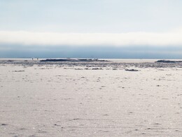 ����������� �����