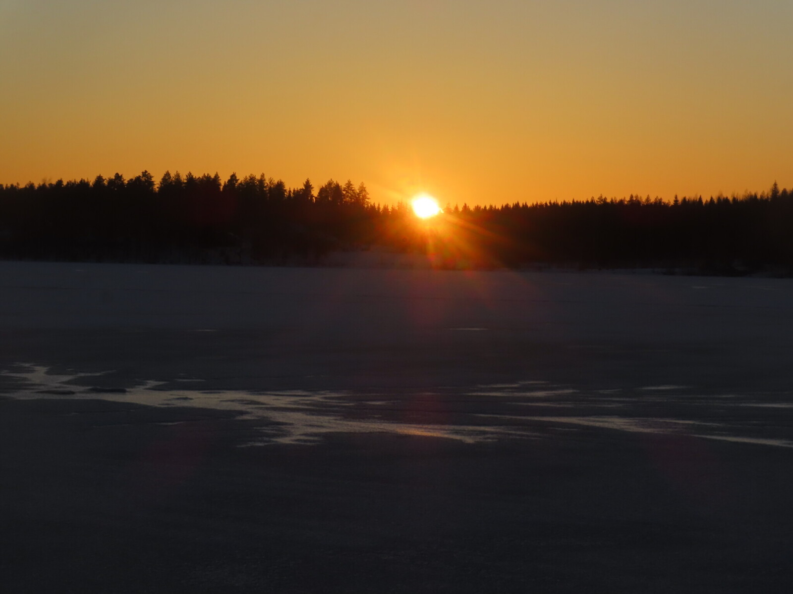 ����� ������