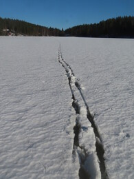 ��������� �������