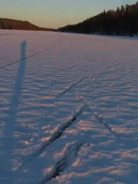 ���������� �����