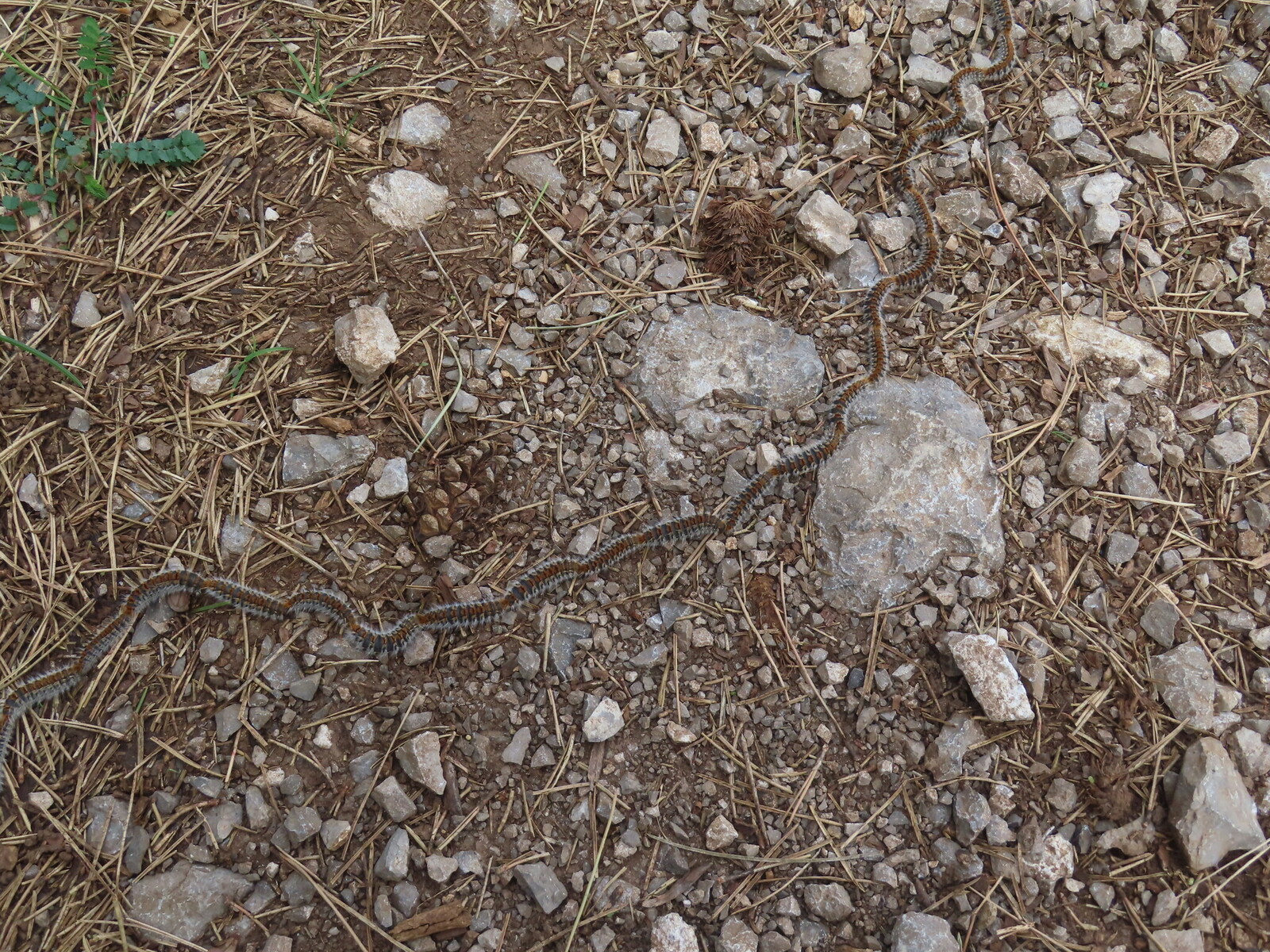 ������� �� �������