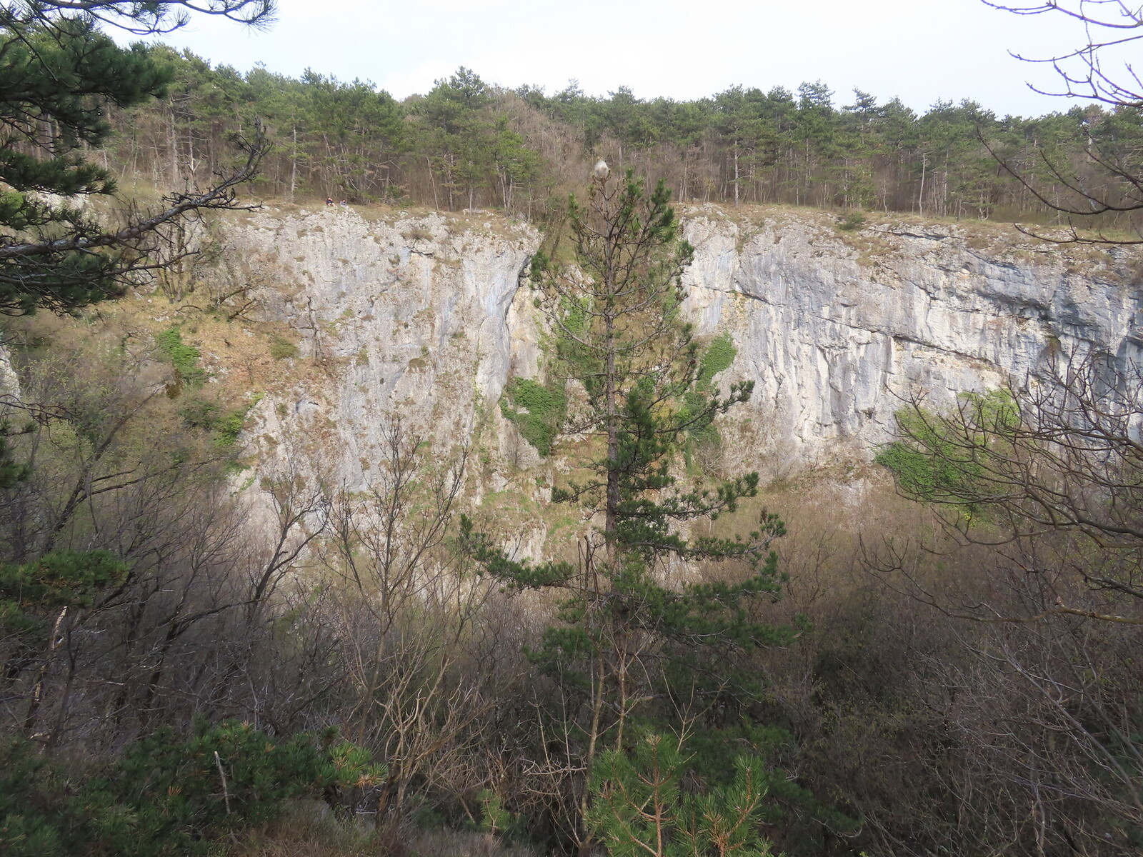 ��93 � ������, � ��������� ������� Petnjak