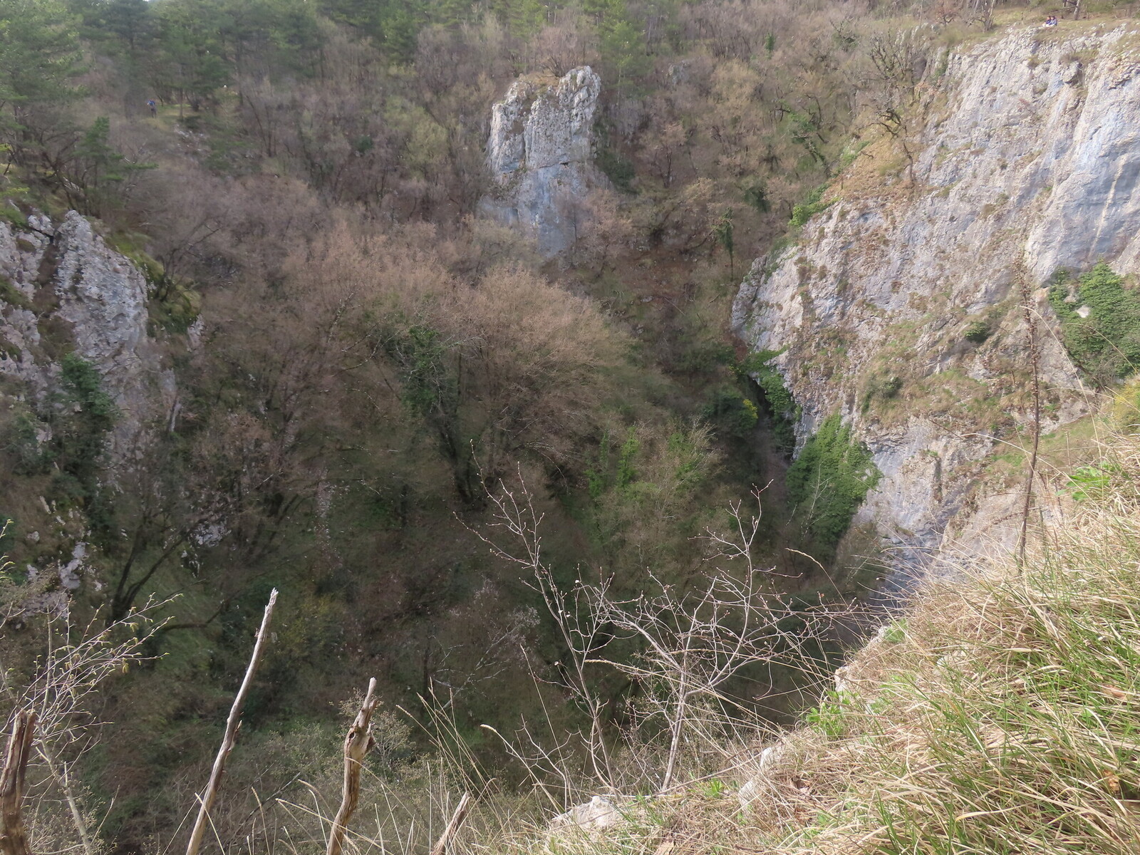 ������-������ ����� ���� ��� ��������