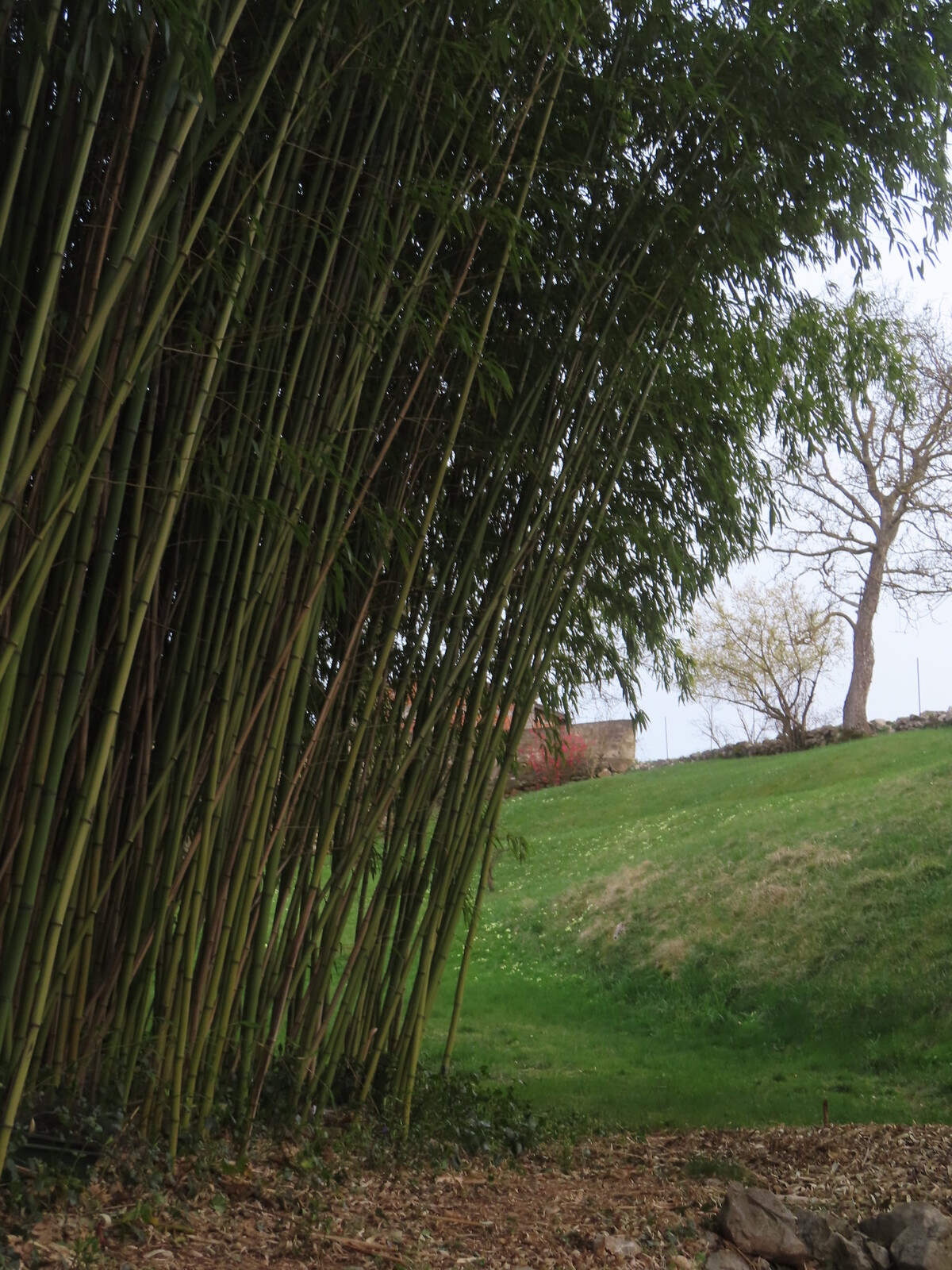 ���������� ����