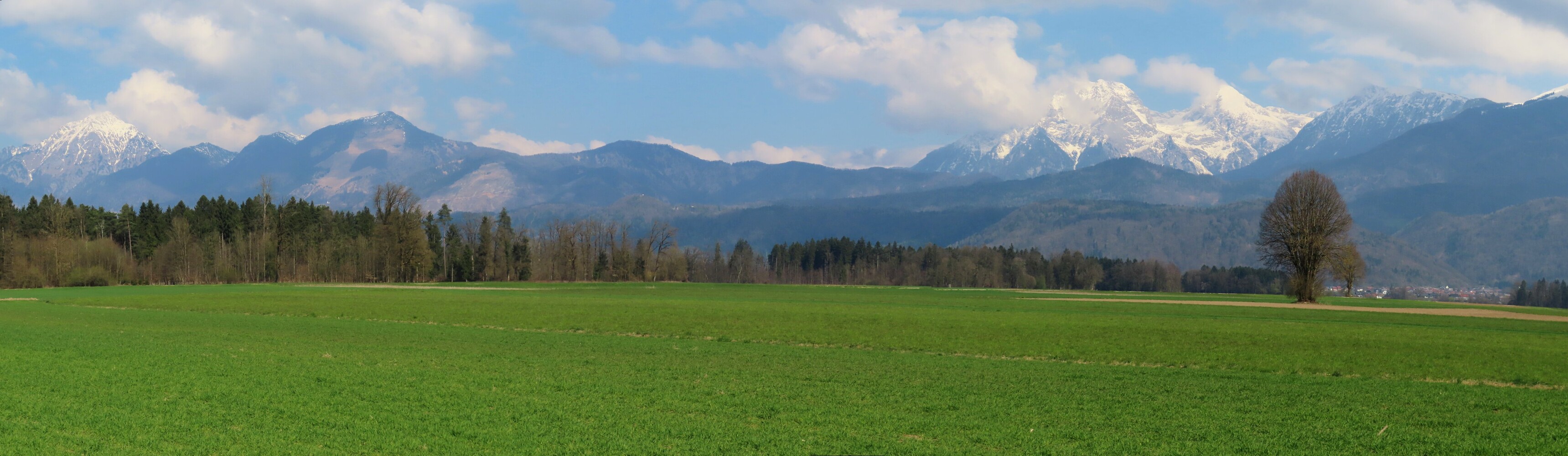 ����� ����� ���������